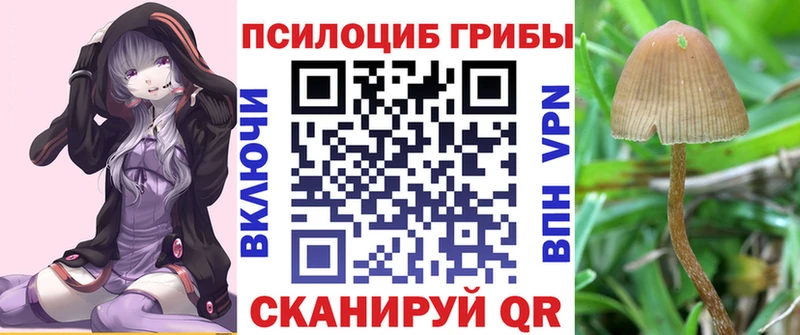 omg как войти  Окуловка  Галлюциногенные грибы MAGIC MUSHROOMS 